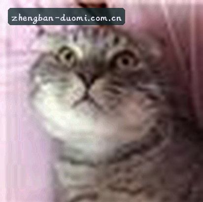 刘洋